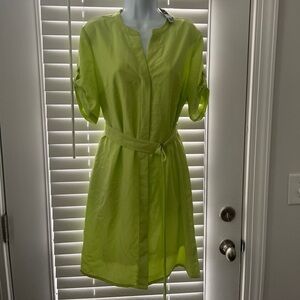 The Limited Light Green Short Sleeve Dress